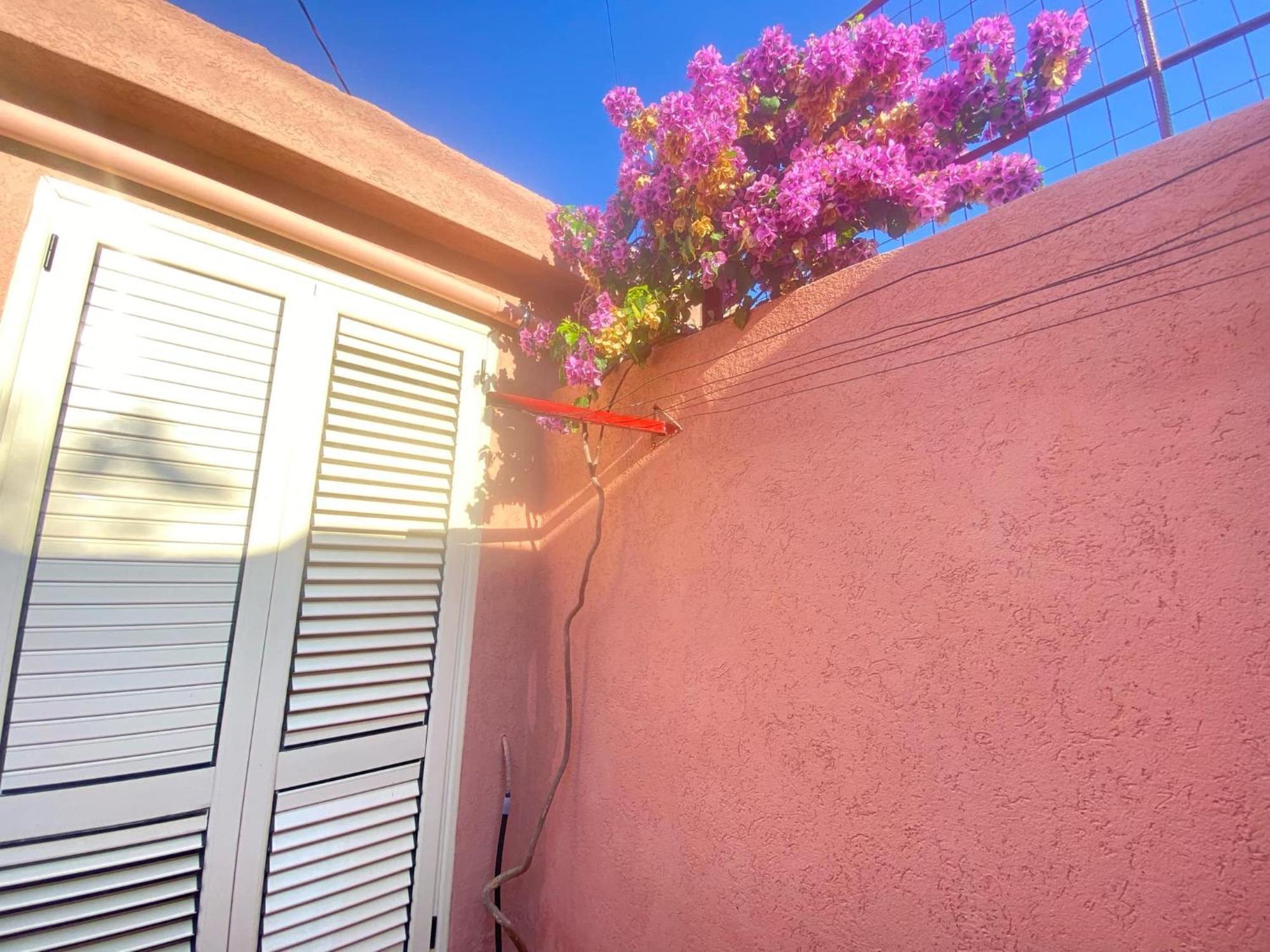 Terracotta House 1 *