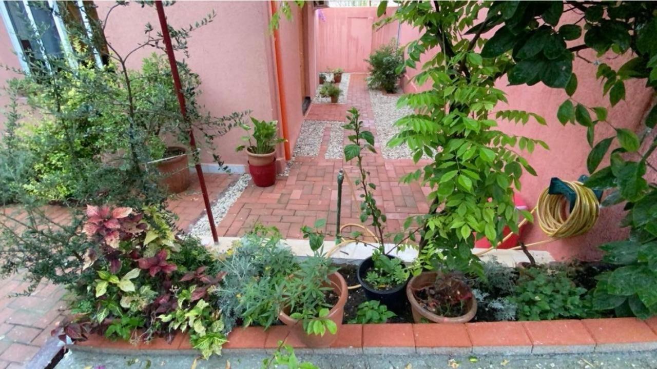 Terracotta House 1 *